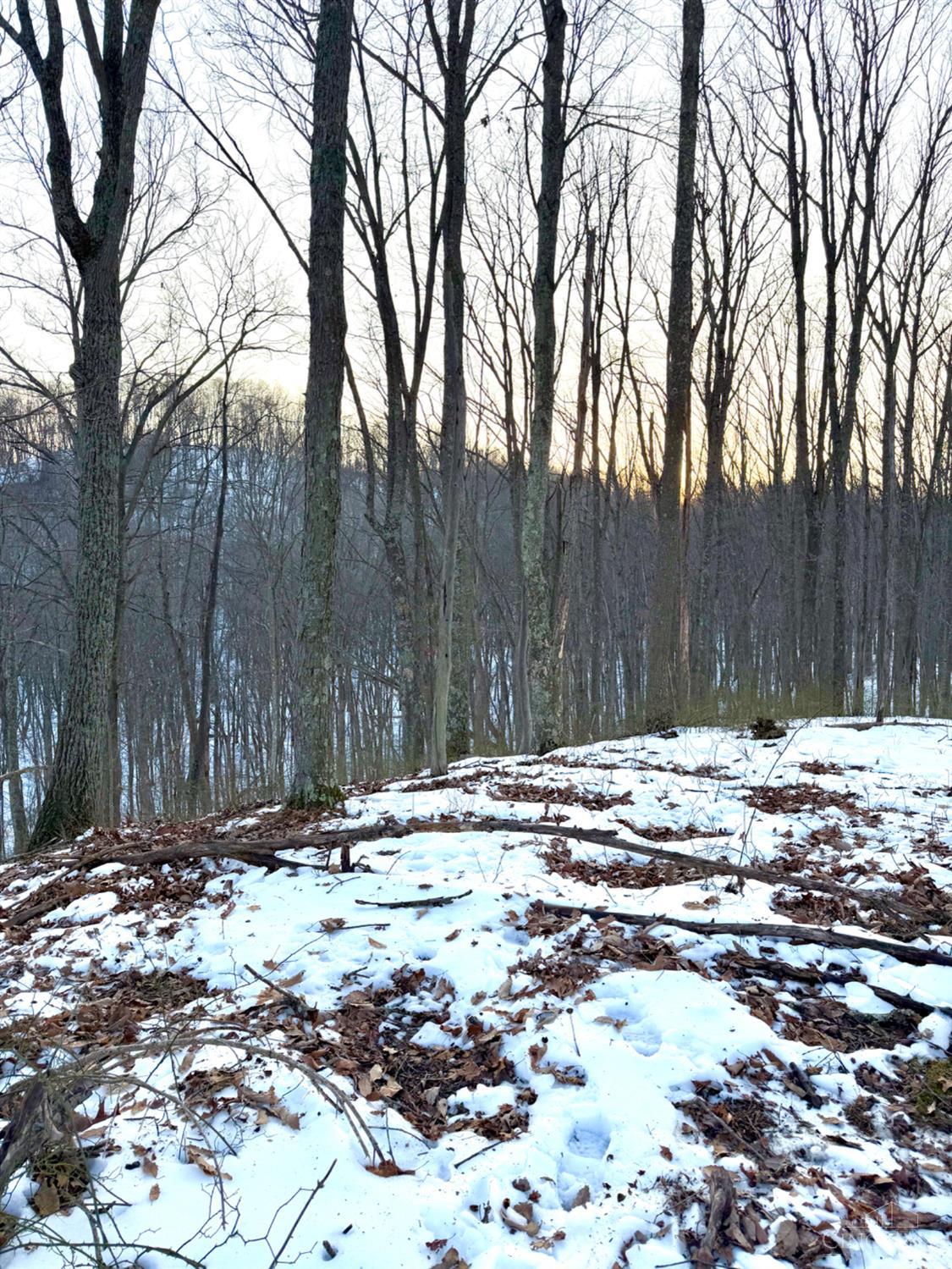 Carrs Run, Jackson Twp, OH, 45613 — photo 57