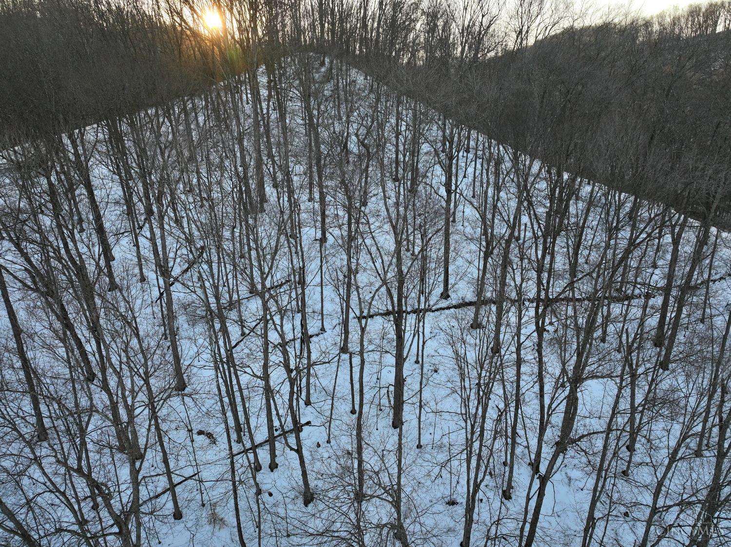 Carrs Run, Jackson Twp, OH, 45613 — photo 48