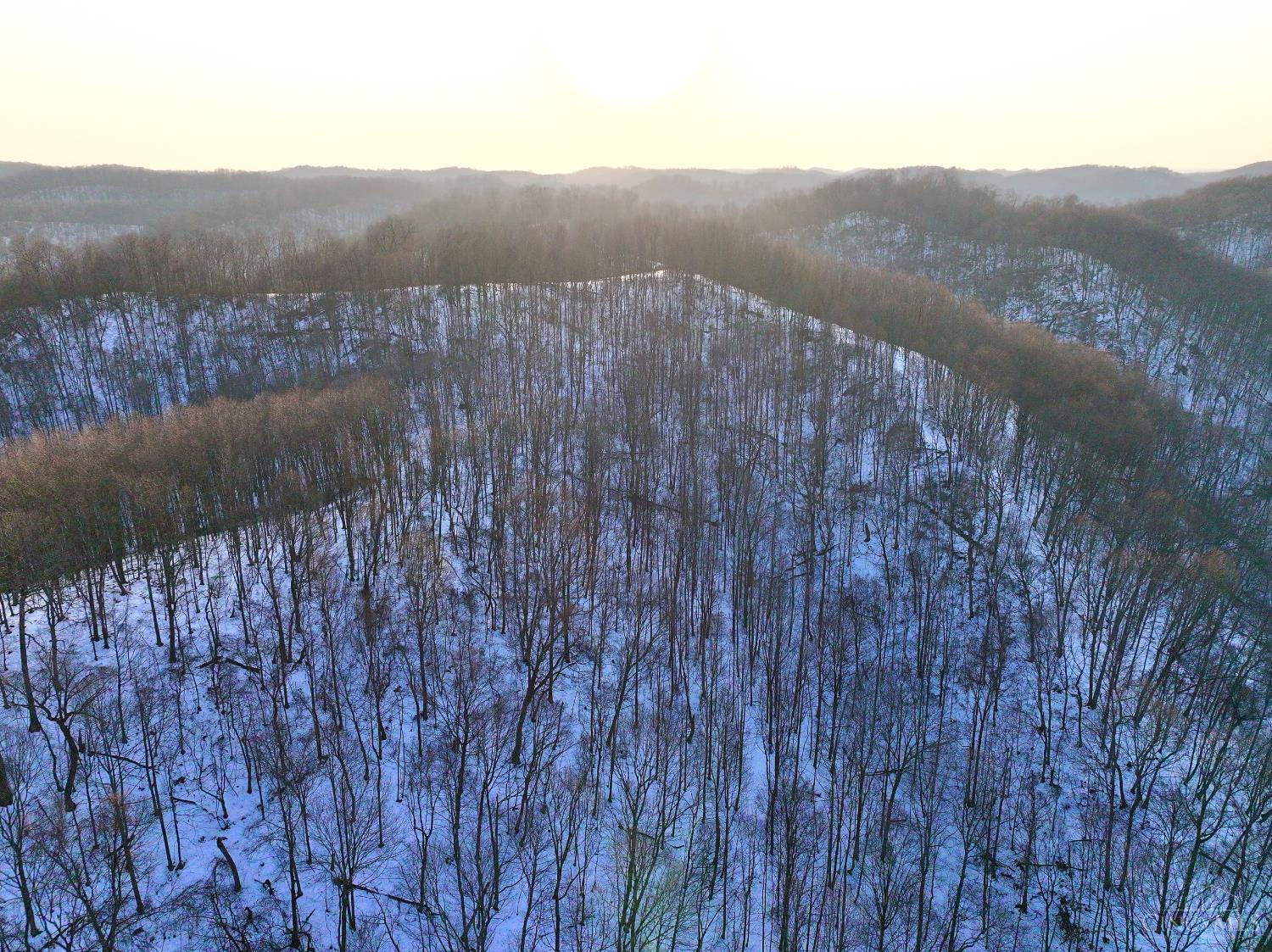 Carrs Run, Jackson Twp, OH, 45613 — photo 36