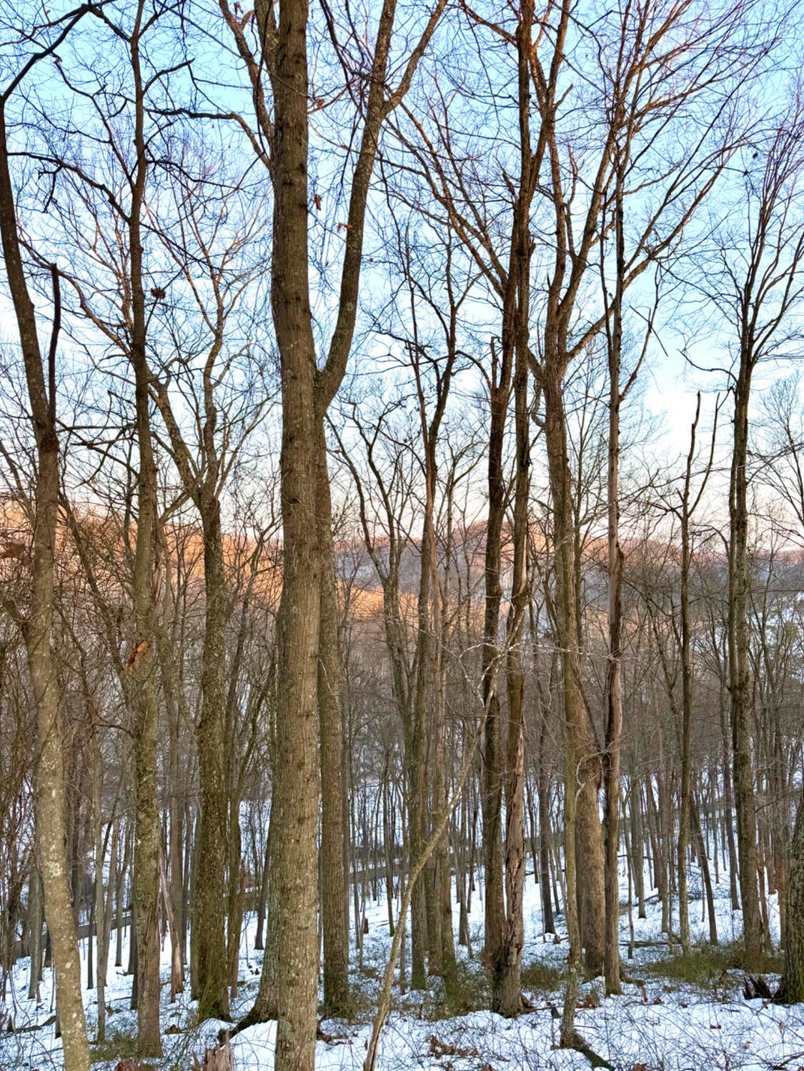 Carrs Run, Jackson Twp, OH, 45613 — photo 55