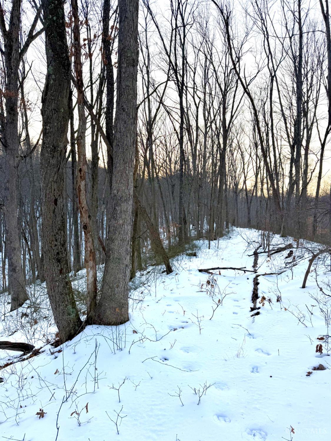 Carrs Run, Jackson Twp, OH, 45613 — photo 61