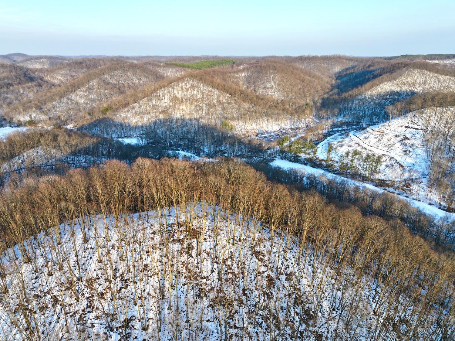 Carrs Run, Jackson Twp, OH, 45613 — photo 44