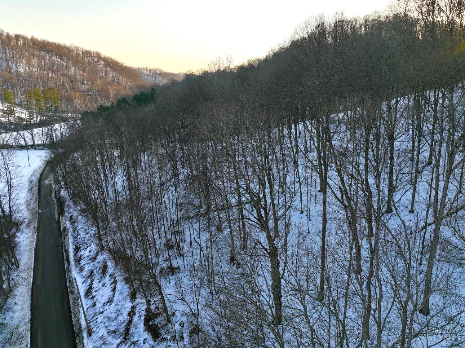 Carrs Run, Jackson Twp, OH, 45613 — photo 49