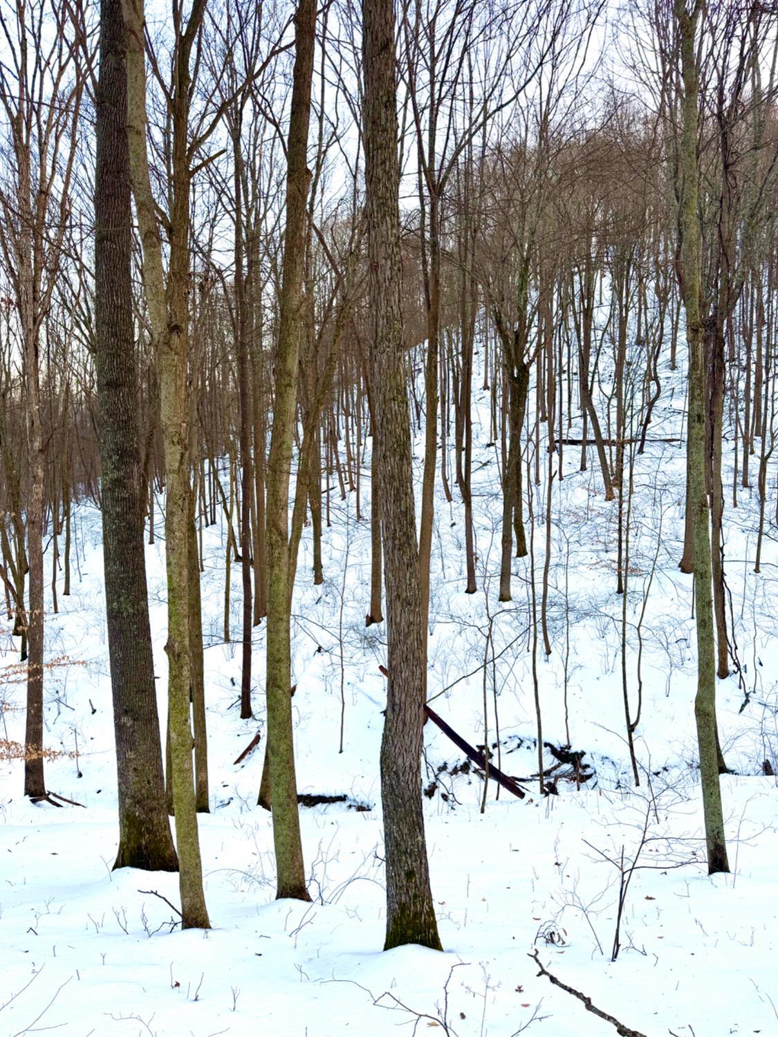 Carrs Run, Jackson Twp, OH, 45613 — photo 75