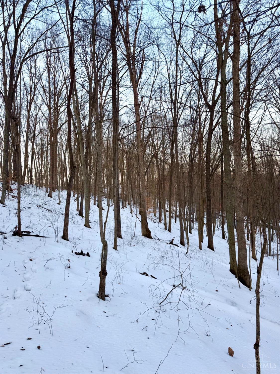 Carrs Run, Jackson Twp, OH, 45613 — photo 71