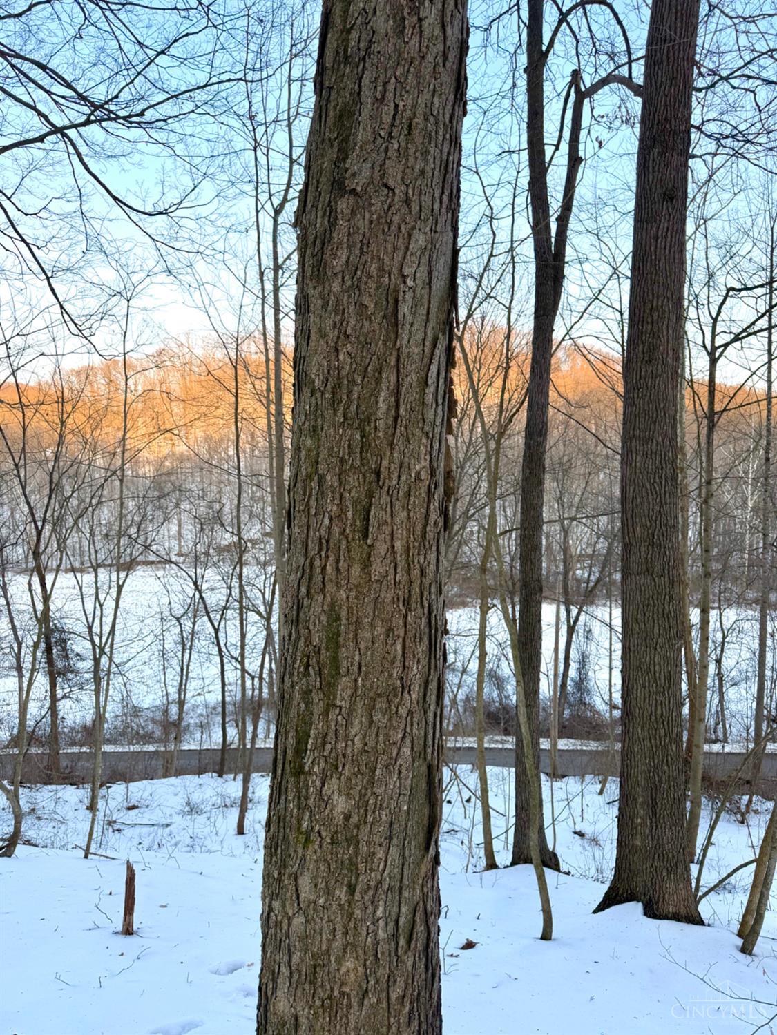 Carrs Run, Jackson Twp, OH, 45613 — photo 52