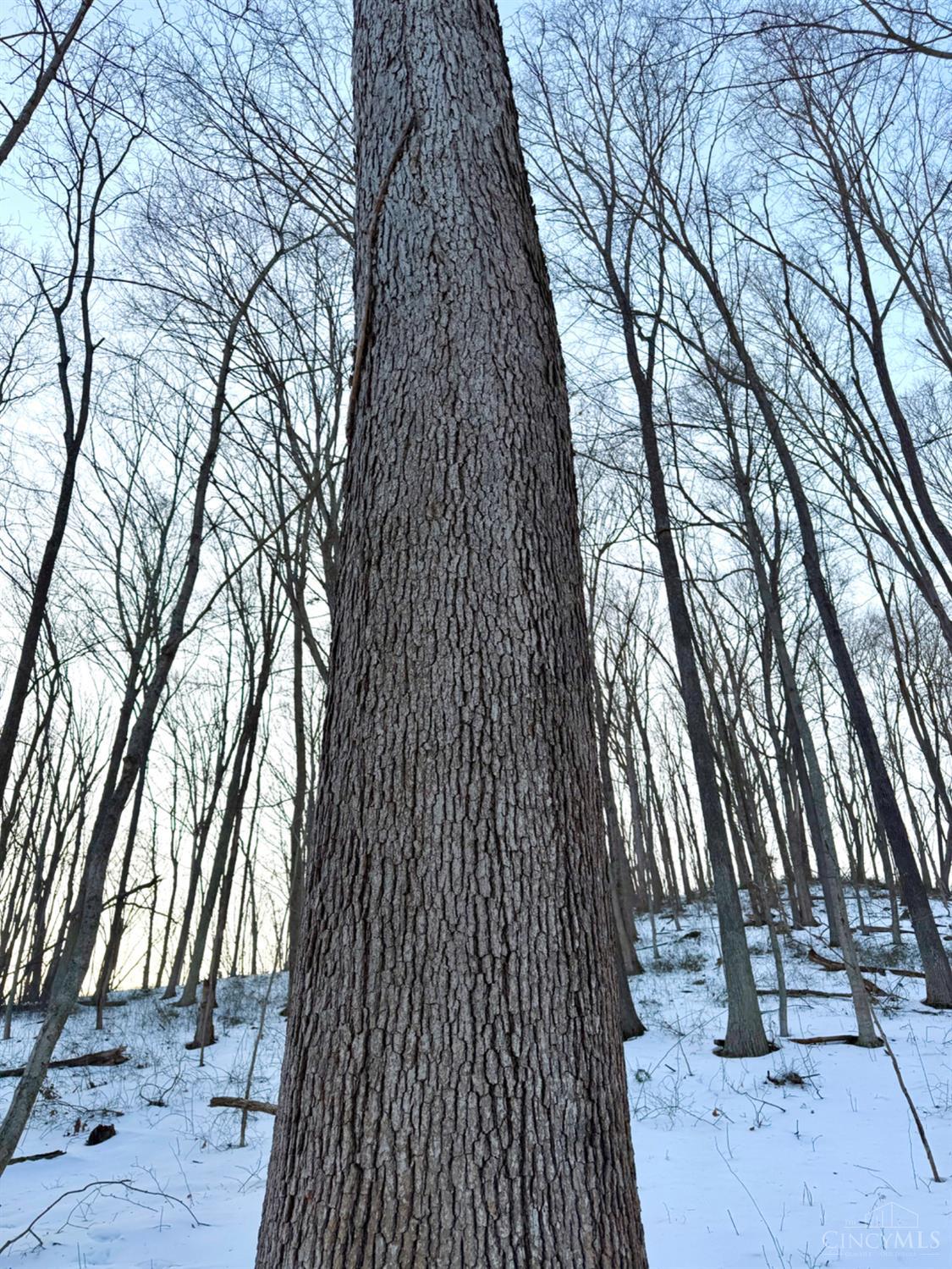Carrs Run, Jackson Twp, OH, 45613 — photo 53