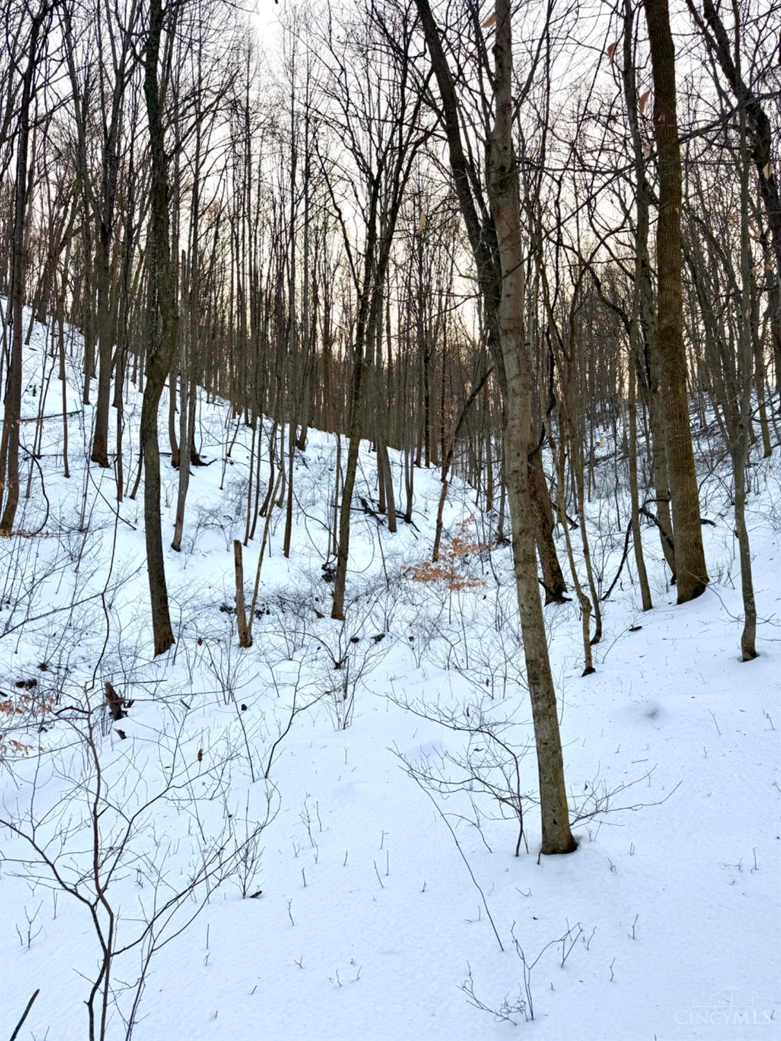 Carrs Run, Jackson Twp, OH, 45613 — photo 72