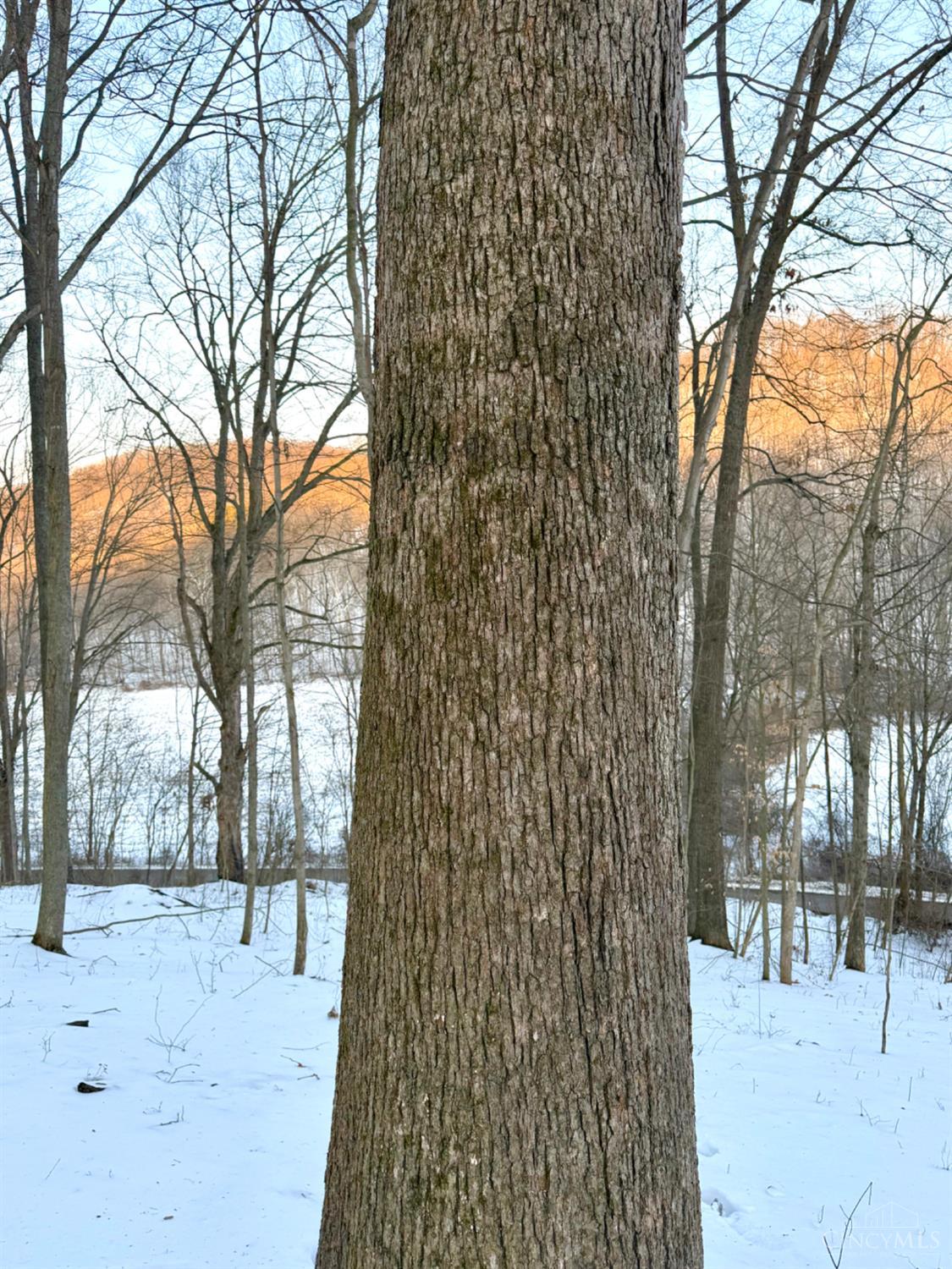 Carrs Run, Jackson Twp, OH, 45613 — photo 21