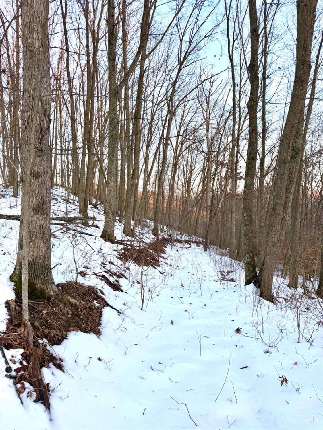 Carrs Run, Jackson Twp, OH, 45613 — photo 60
