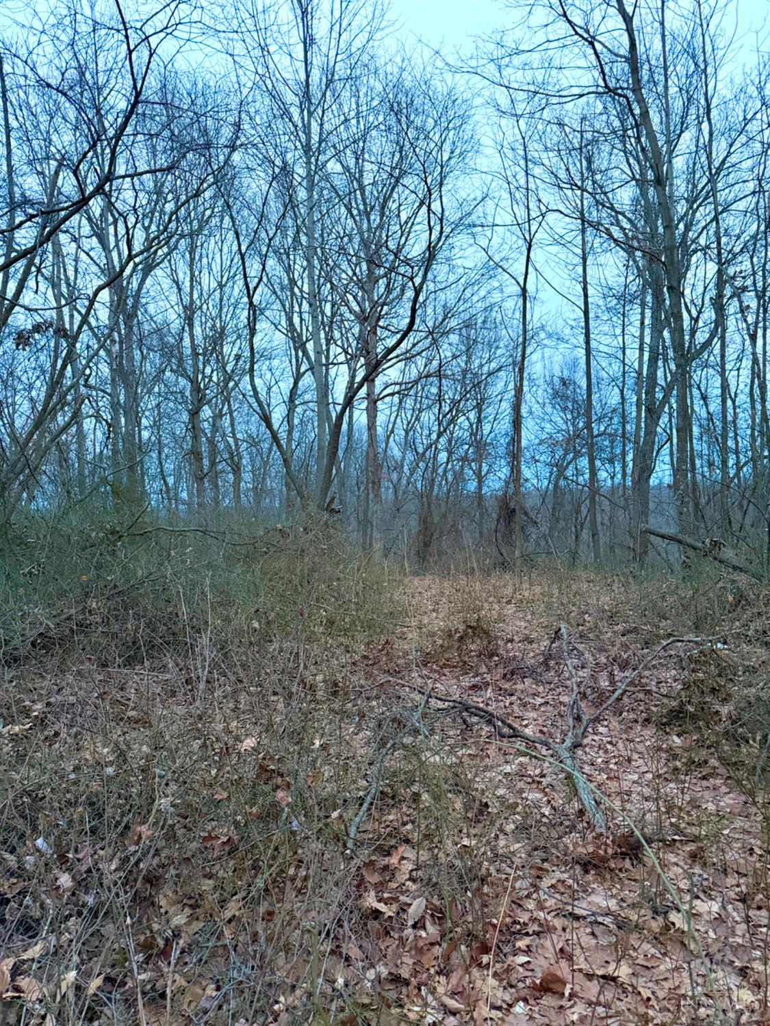 Straight Creek Road, Jackson Twp, OH, 45613 — photo 27