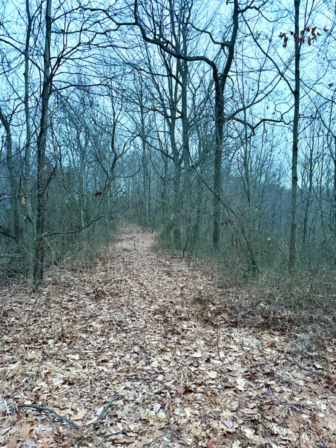Straight Creek Road, Jackson Twp, OH, 45613 — photo 61