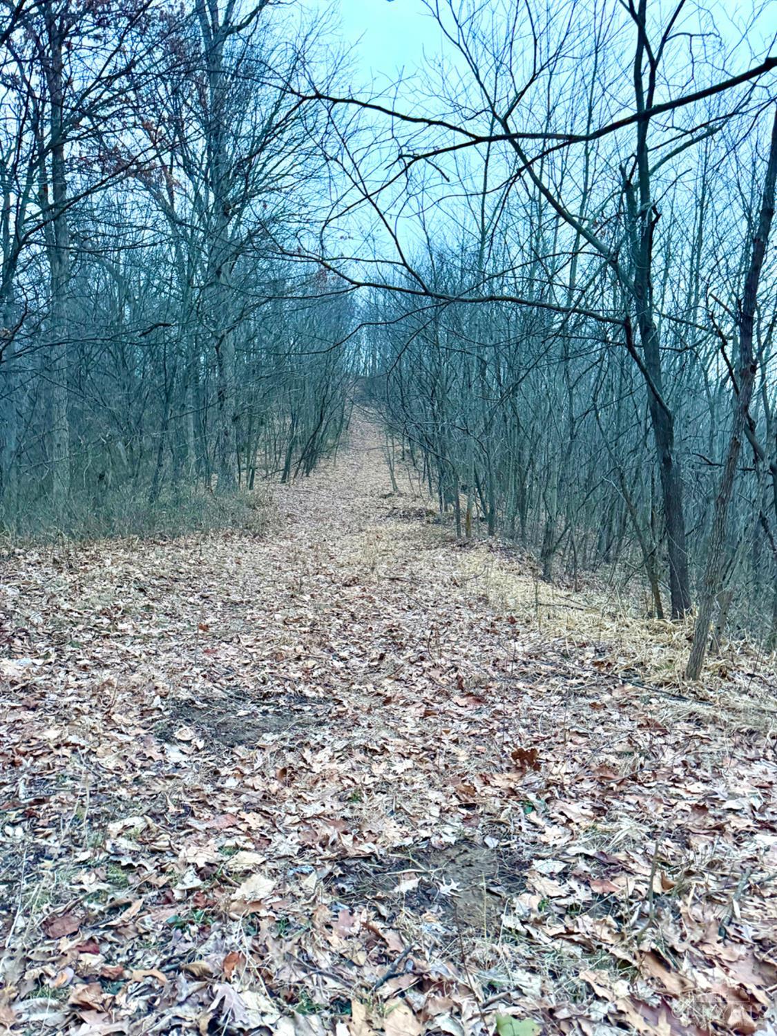 Straight Creek Road, Jackson Twp, OH, 45613 — photo 6