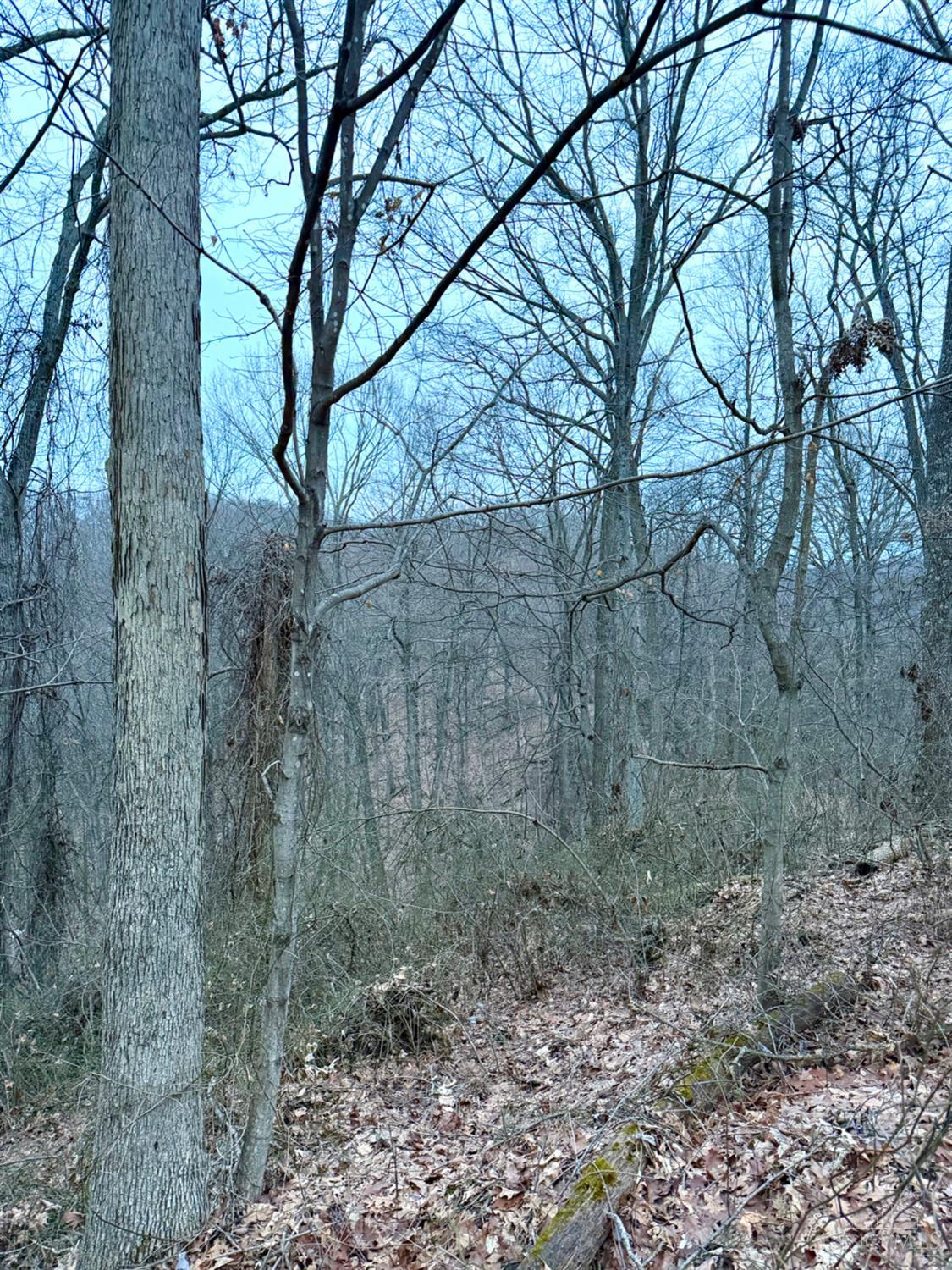 Straight Creek Road, Jackson Twp, OH, 45613 — photo 51