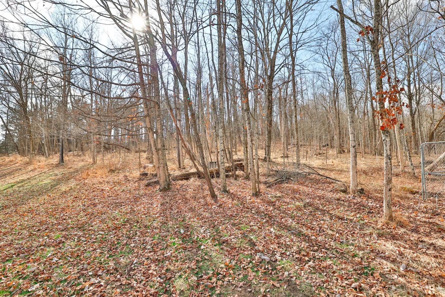 11675 New Biddinger Road, Harrison Twp, OH, 45030 — photo 48
