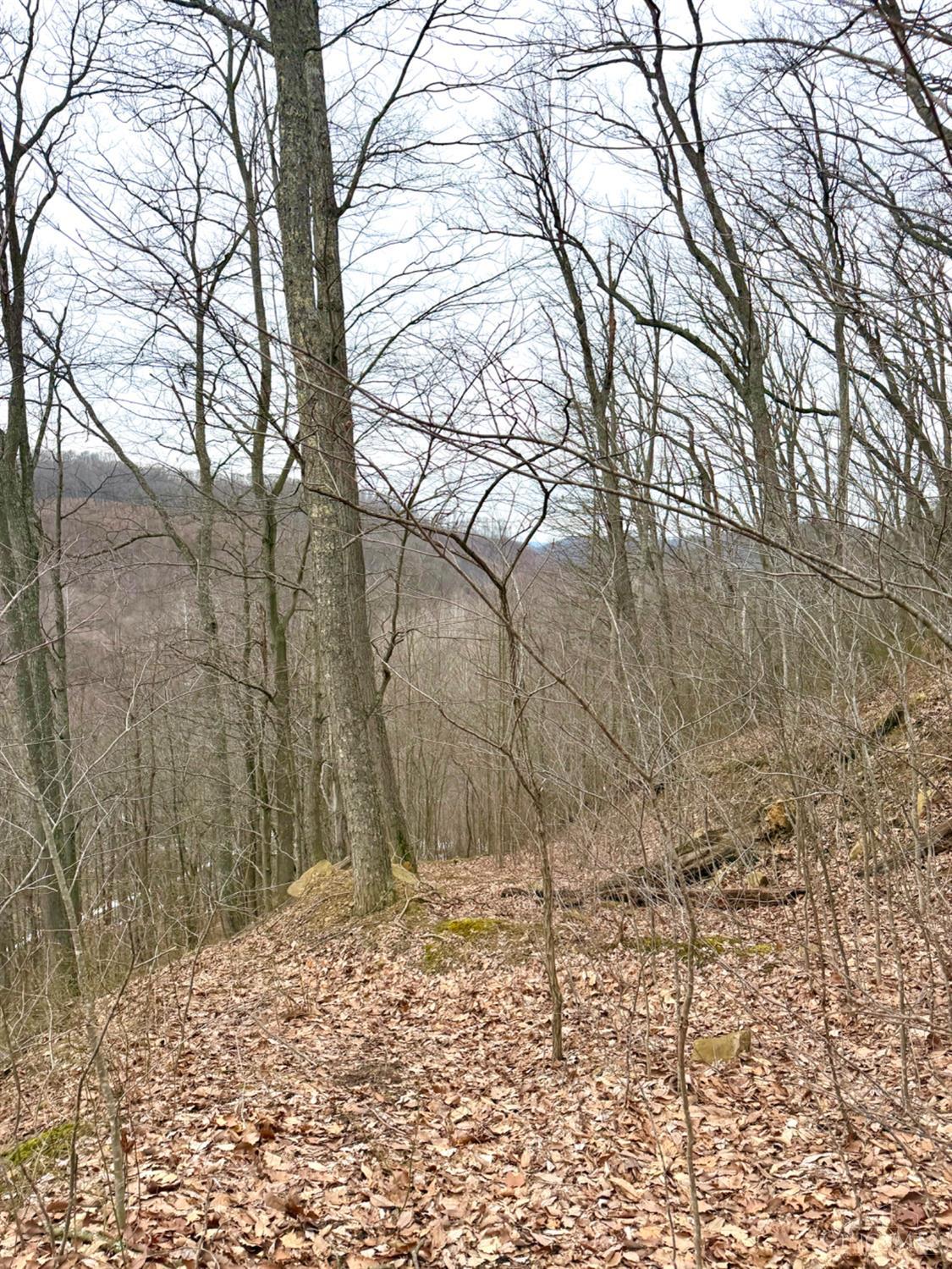 Straight Creek Road, Jackson Twp, OH, 45613 — photo 36