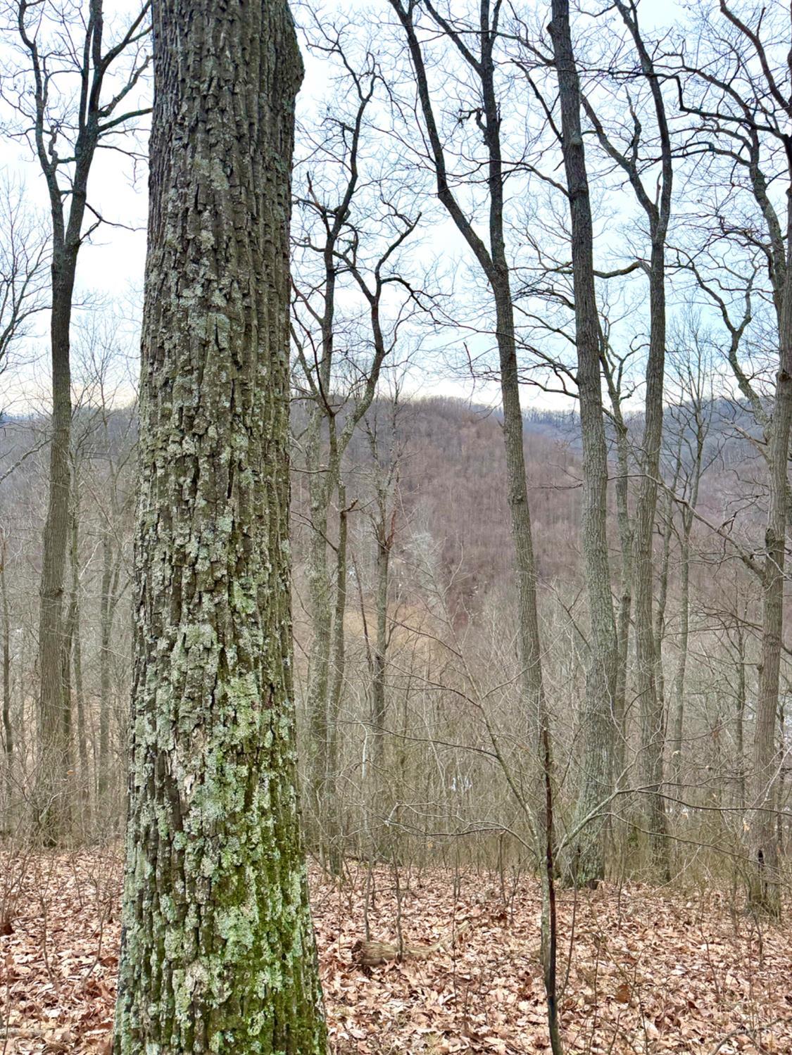 Straight Creek Road, Jackson Twp, OH, 45613 — photo 40