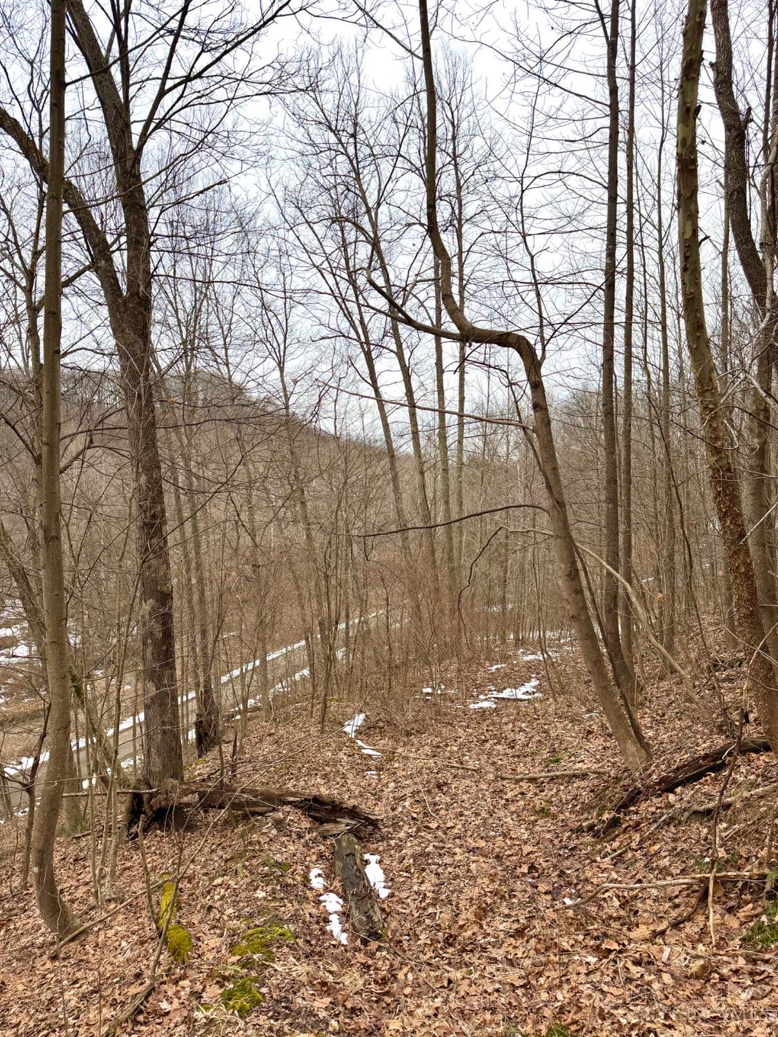 Straight Creek Road, Jackson Twp, OH, 45613 — photo 32
