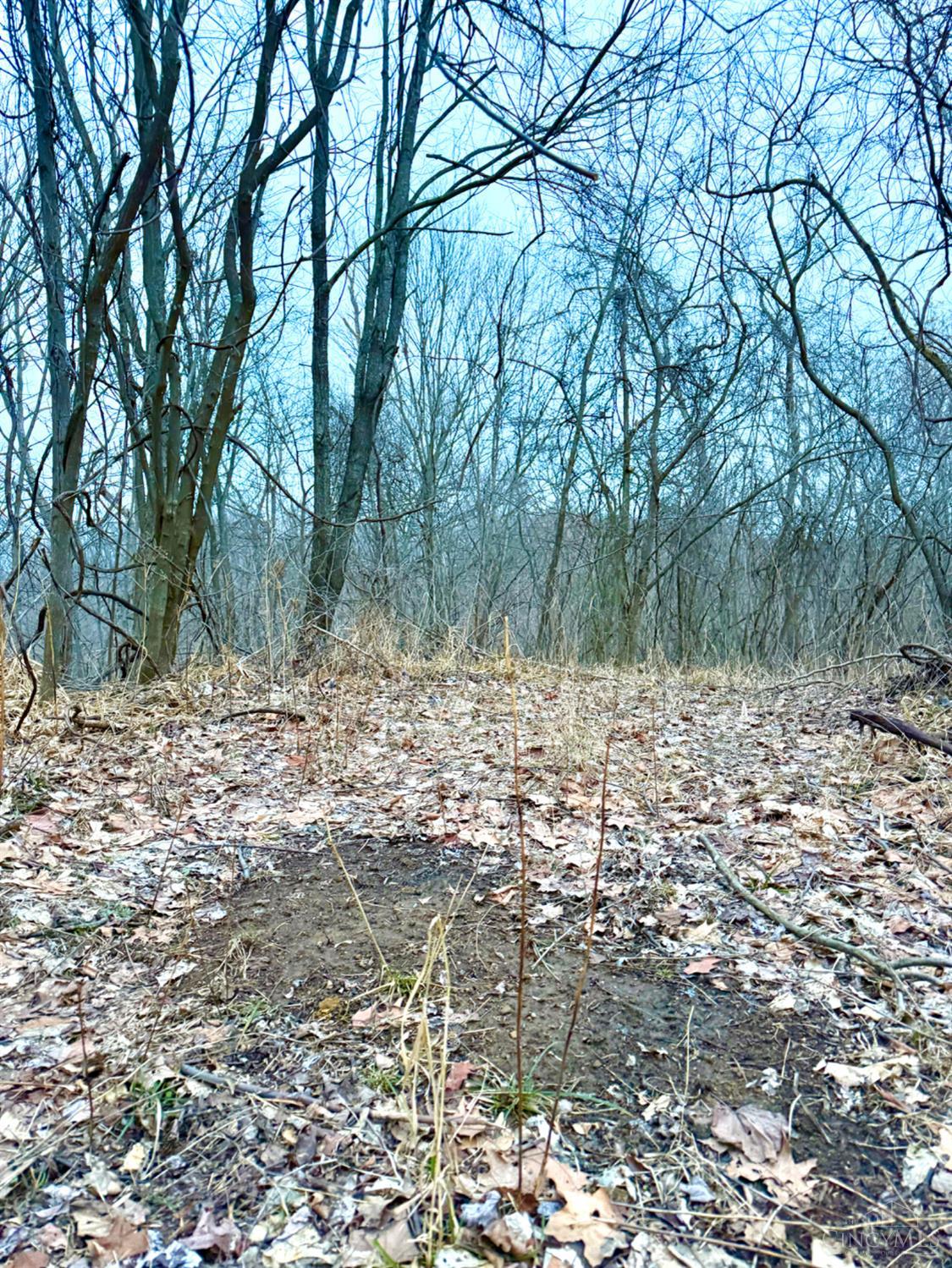 Straight Creek Road, Jackson Twp, OH, 45613 — photo 48