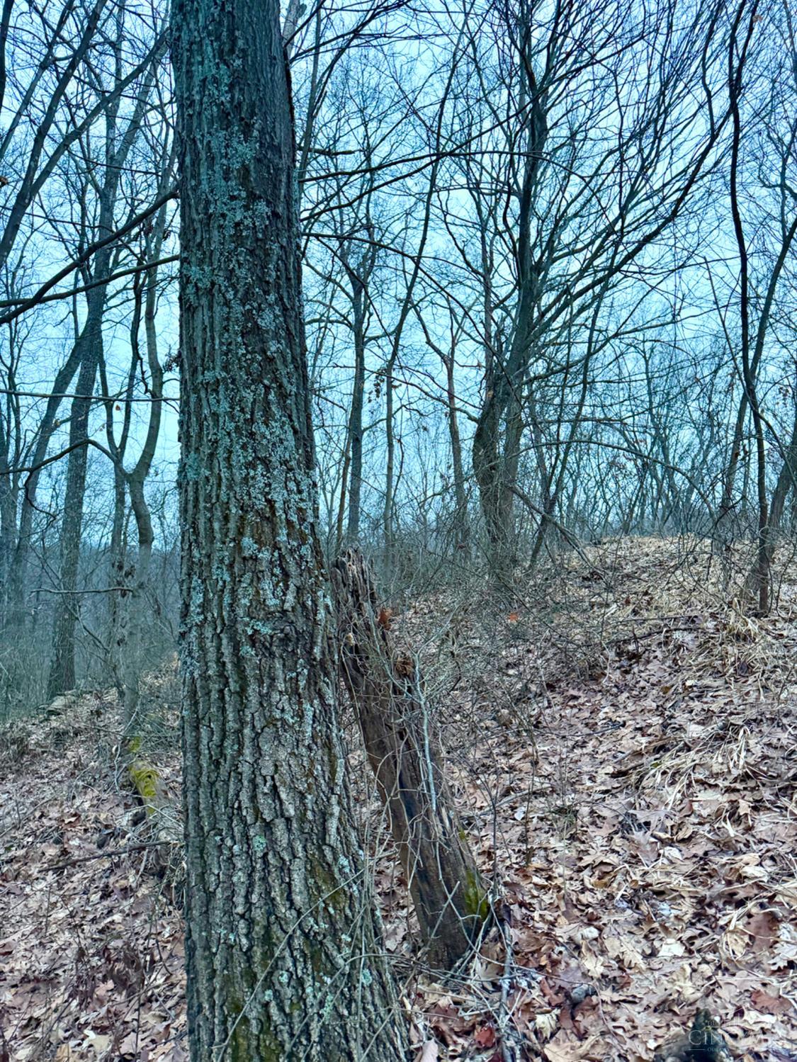 Straight Creek Road, Jackson Twp, OH, 45613 — photo 52