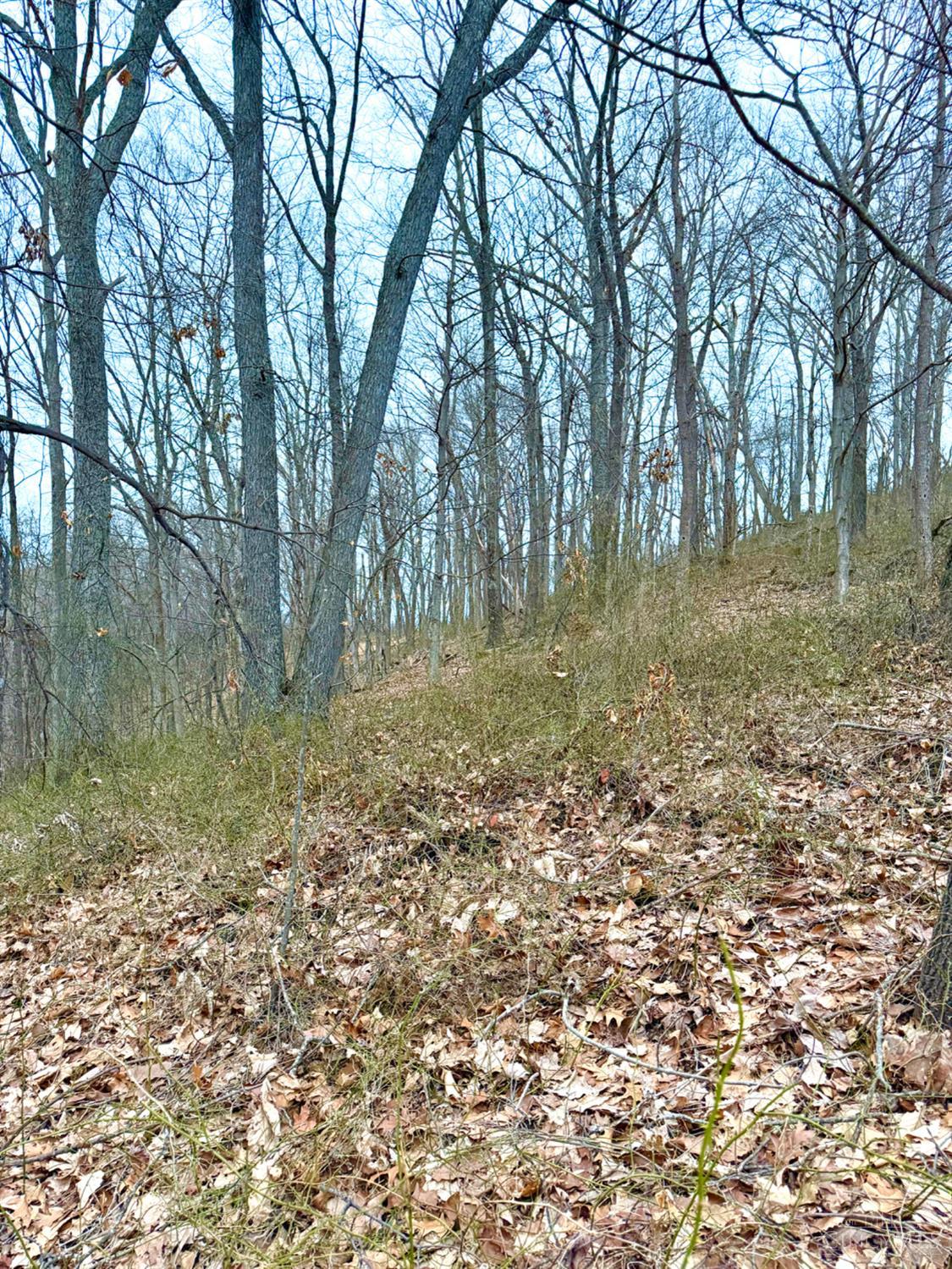 Straight Creek Road, Jackson Twp, OH, 45613 — photo 46