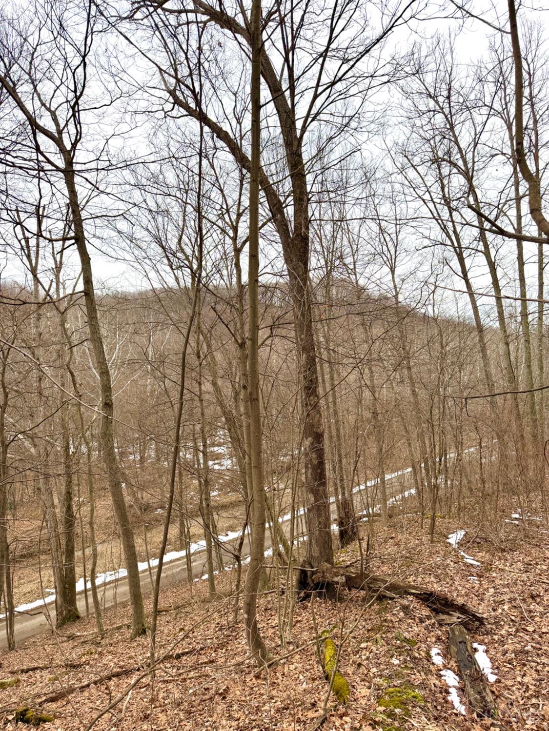 Straight Creek Road, Jackson Twp, OH, 45613 — photo 30