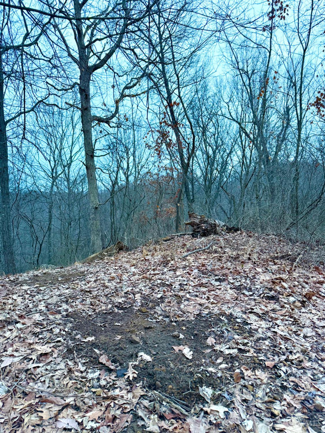 Straight Creek Road, Jackson Twp, OH, 45613 — photo 18