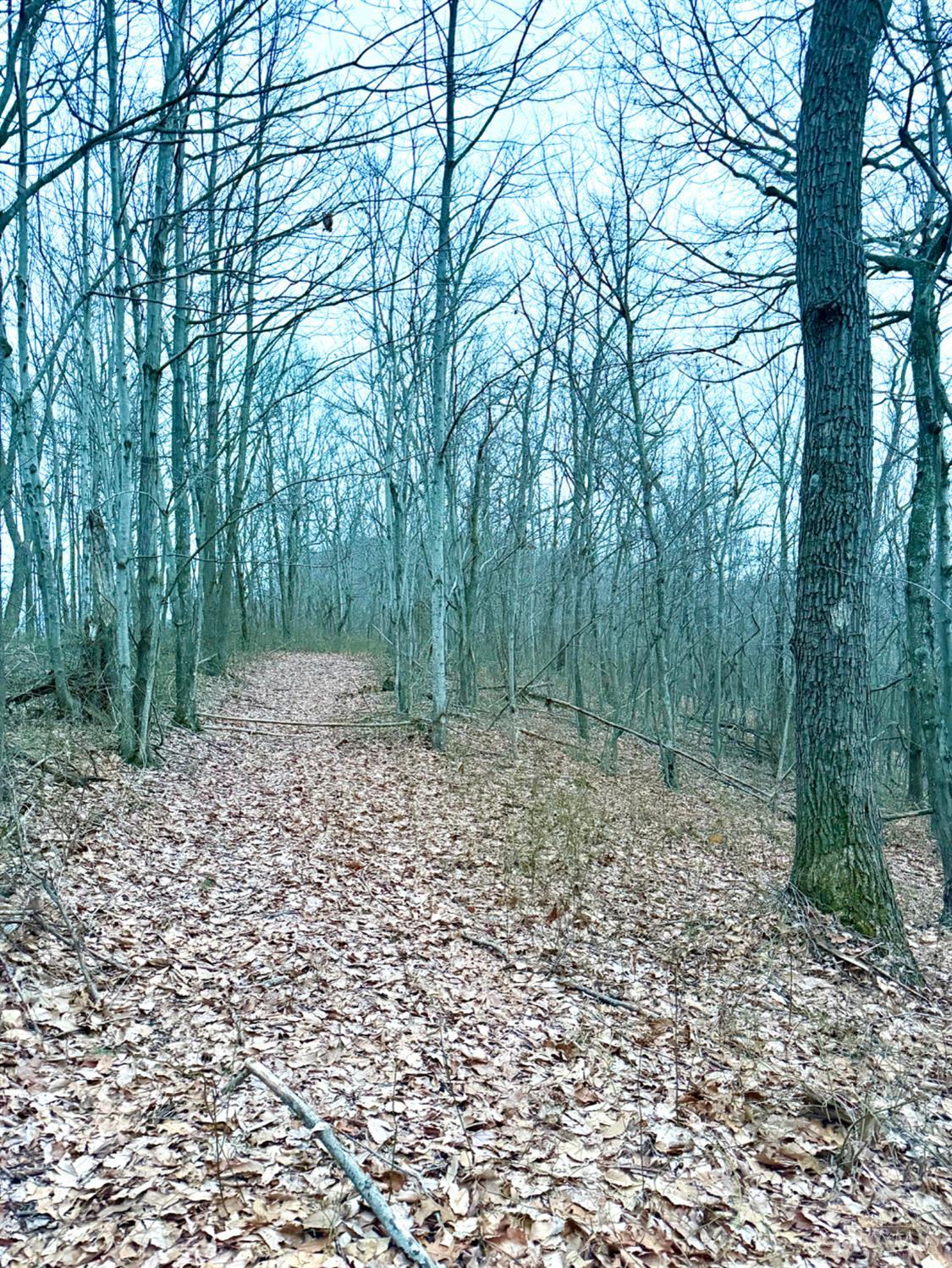 Straight Creek Road, Jackson Twp, OH, 45613 — photo 64