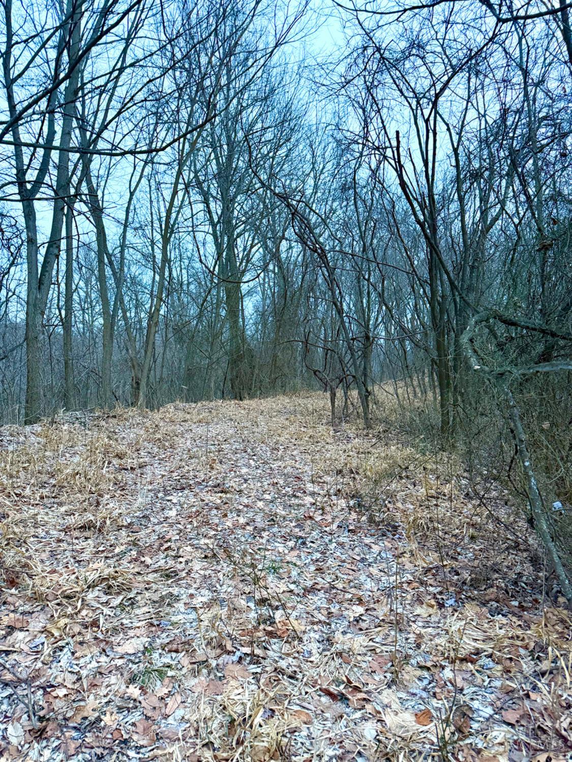 Straight Creek Road, Jackson Twp, OH, 45613 — photo 49