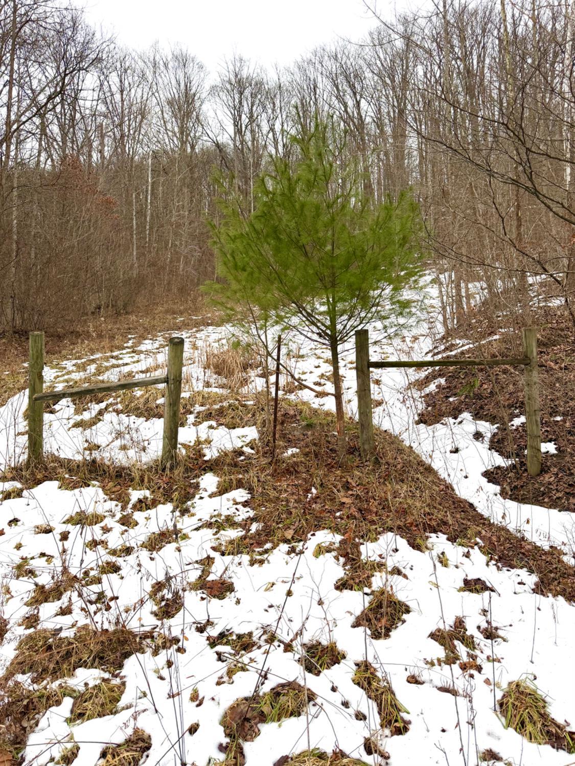 Straight Creek Road, Jackson Twp, OH, 45613 — photo 31