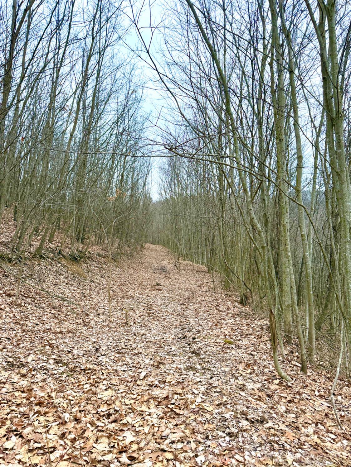 Straight Creek Road, Jackson Twp, OH, 45613 — photo 23