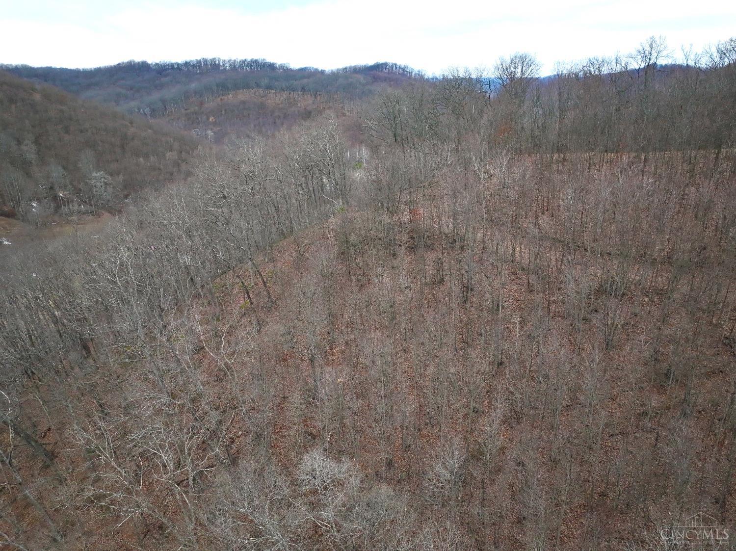 Straight Creek Road, Jackson Twp, OH, 45613 — photo 19