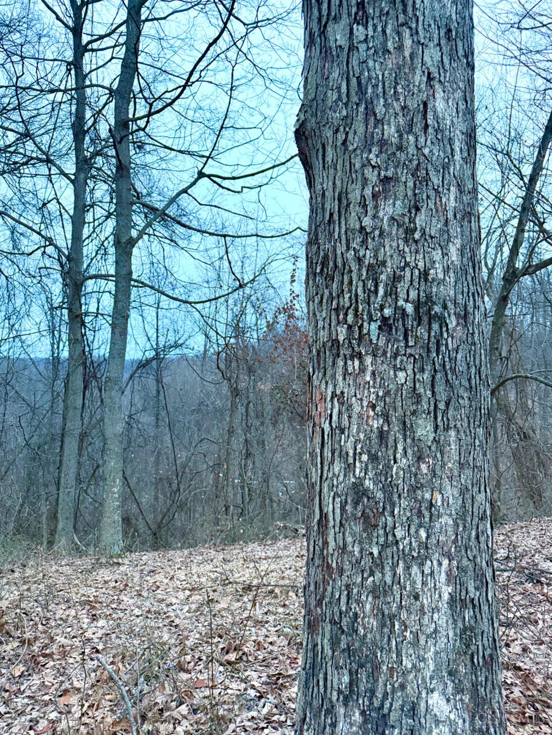 Straight Creek Road, Jackson Twp, OH, 45613 — photo 58