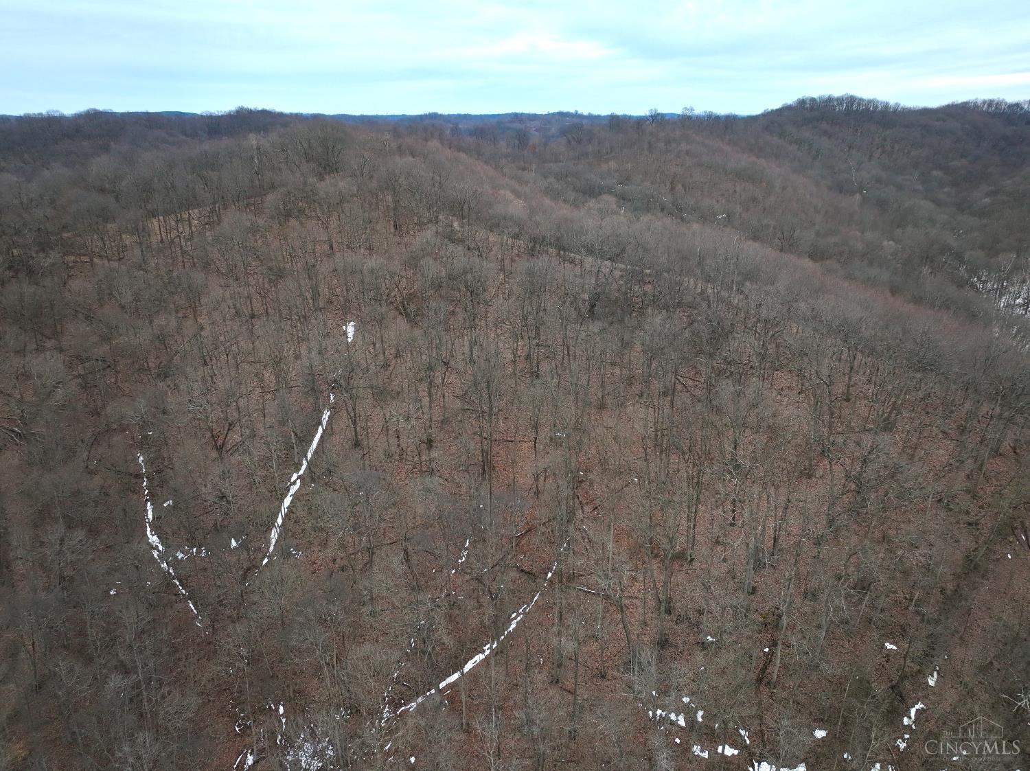 Straight Creek Road, Jackson Twp, OH, 45613 — photo 72