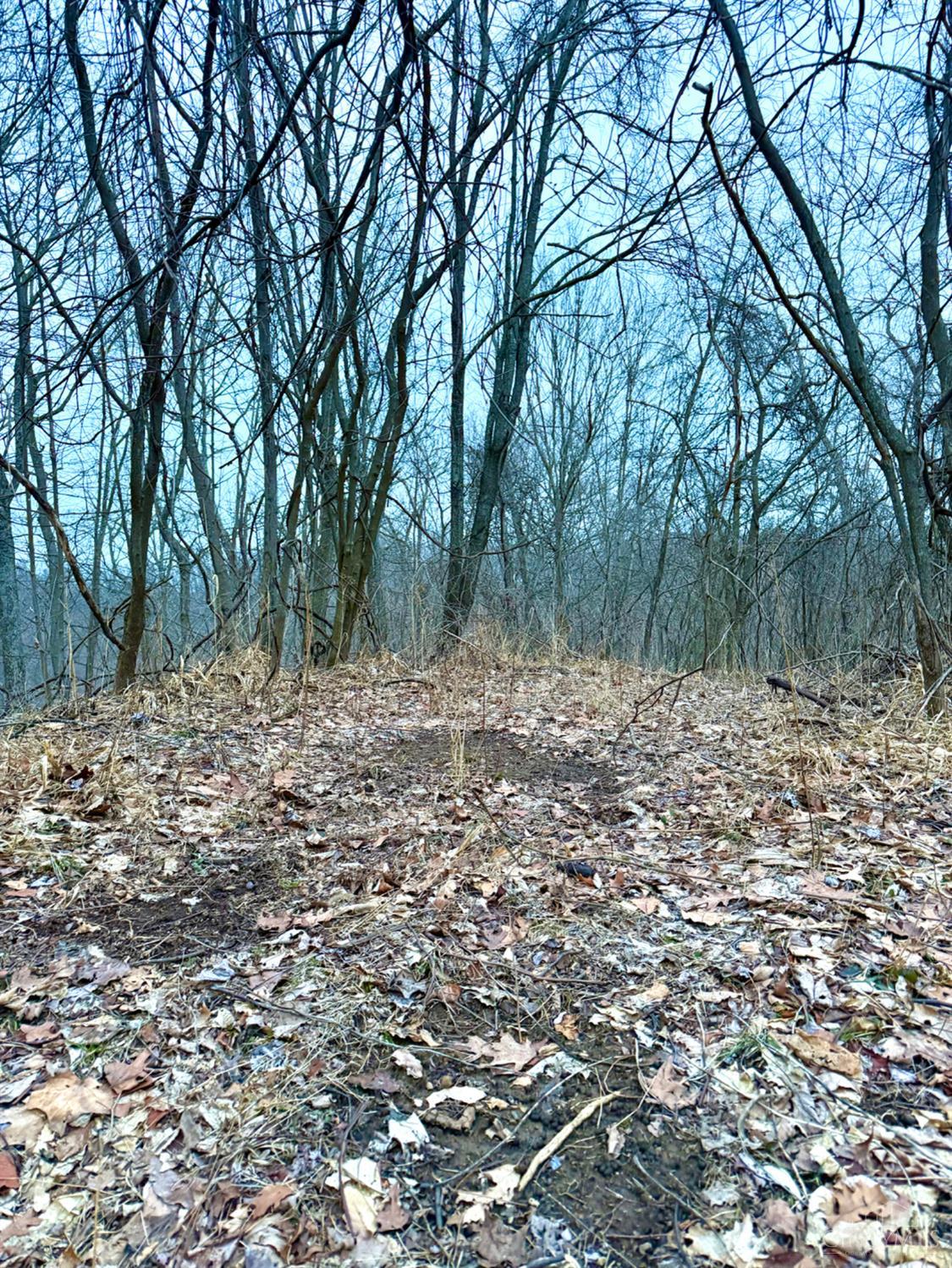 Straight Creek Road, Jackson Twp, OH, 45613 — photo 47