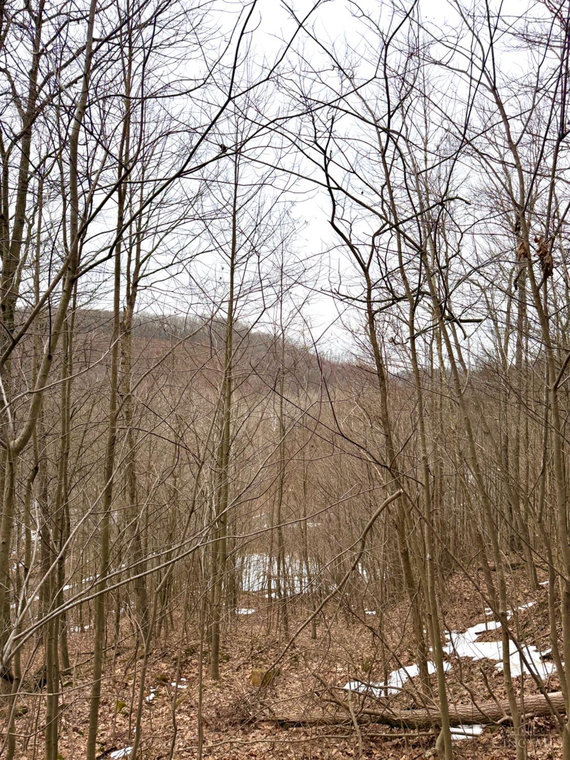 Straight Creek Road, Jackson Twp, OH, 45613 — photo 35