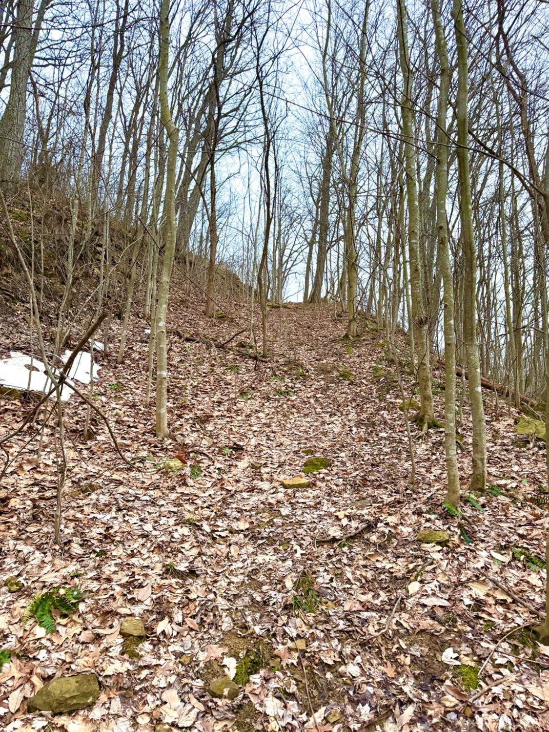 Straight Creek Road, Jackson Twp, OH, 45613 — photo 34