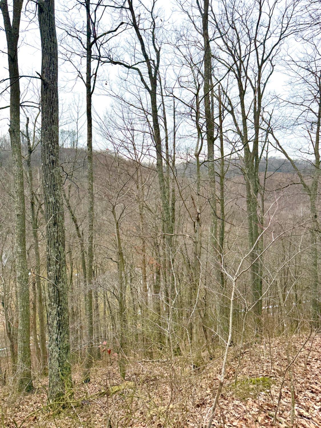 Straight Creek Road, Jackson Twp, OH, 45613 — photo 37