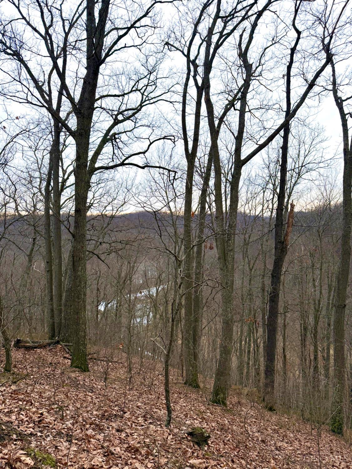 Straight Creek Road, Jackson Twp, OH, 45613 — photo 38