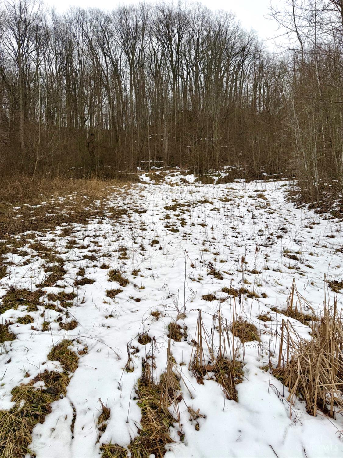 Straight Creek Road, Jackson Twp, OH, 45613 — photo 29