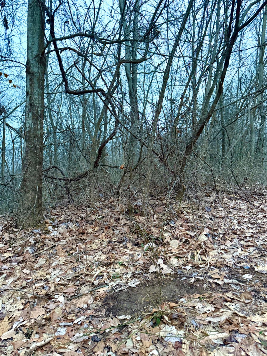 Straight Creek Road, Jackson Twp, OH, 45613 — photo 60