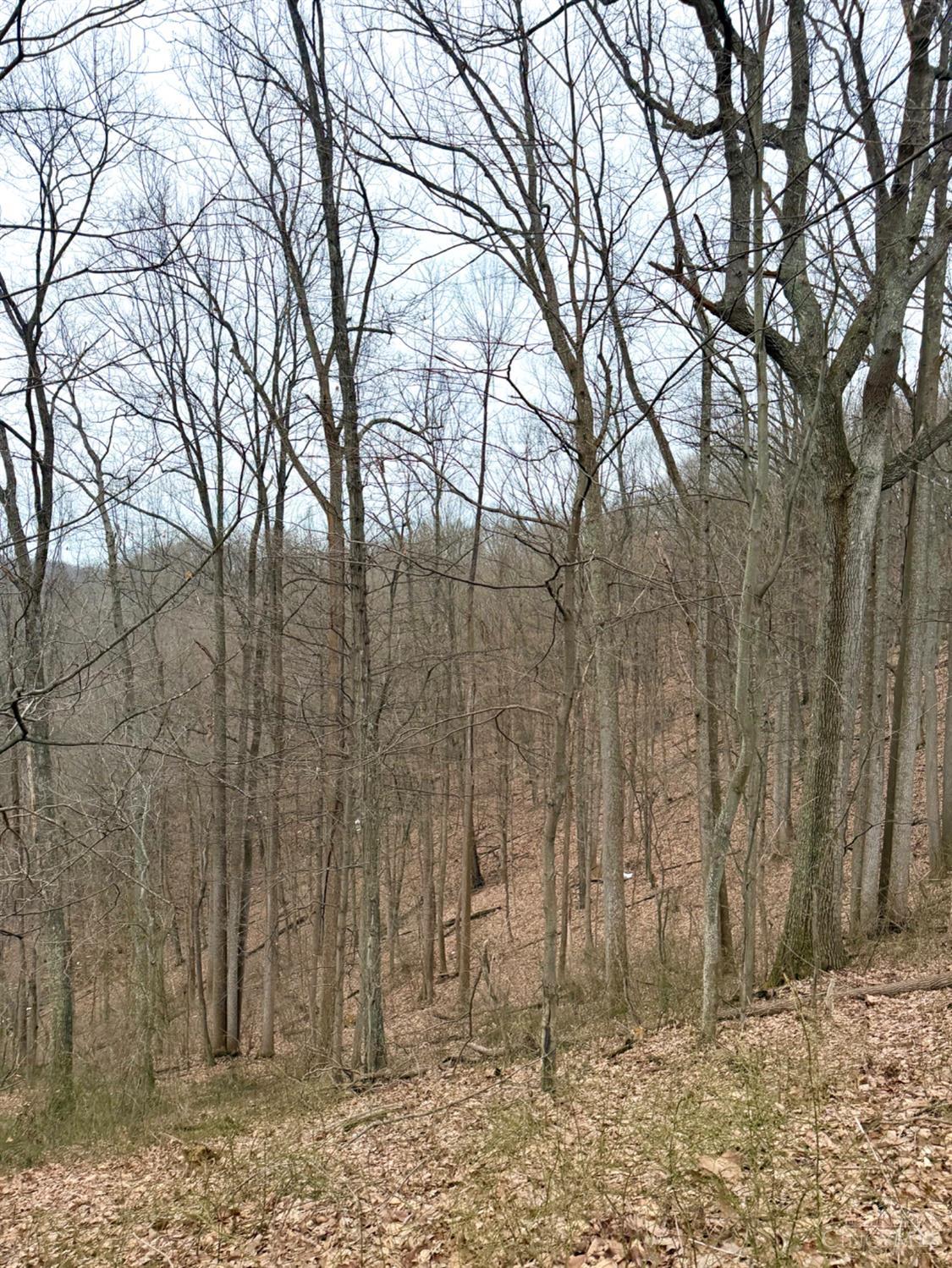 Straight Creek Road, Jackson Twp, OH, 45613 — photo 24