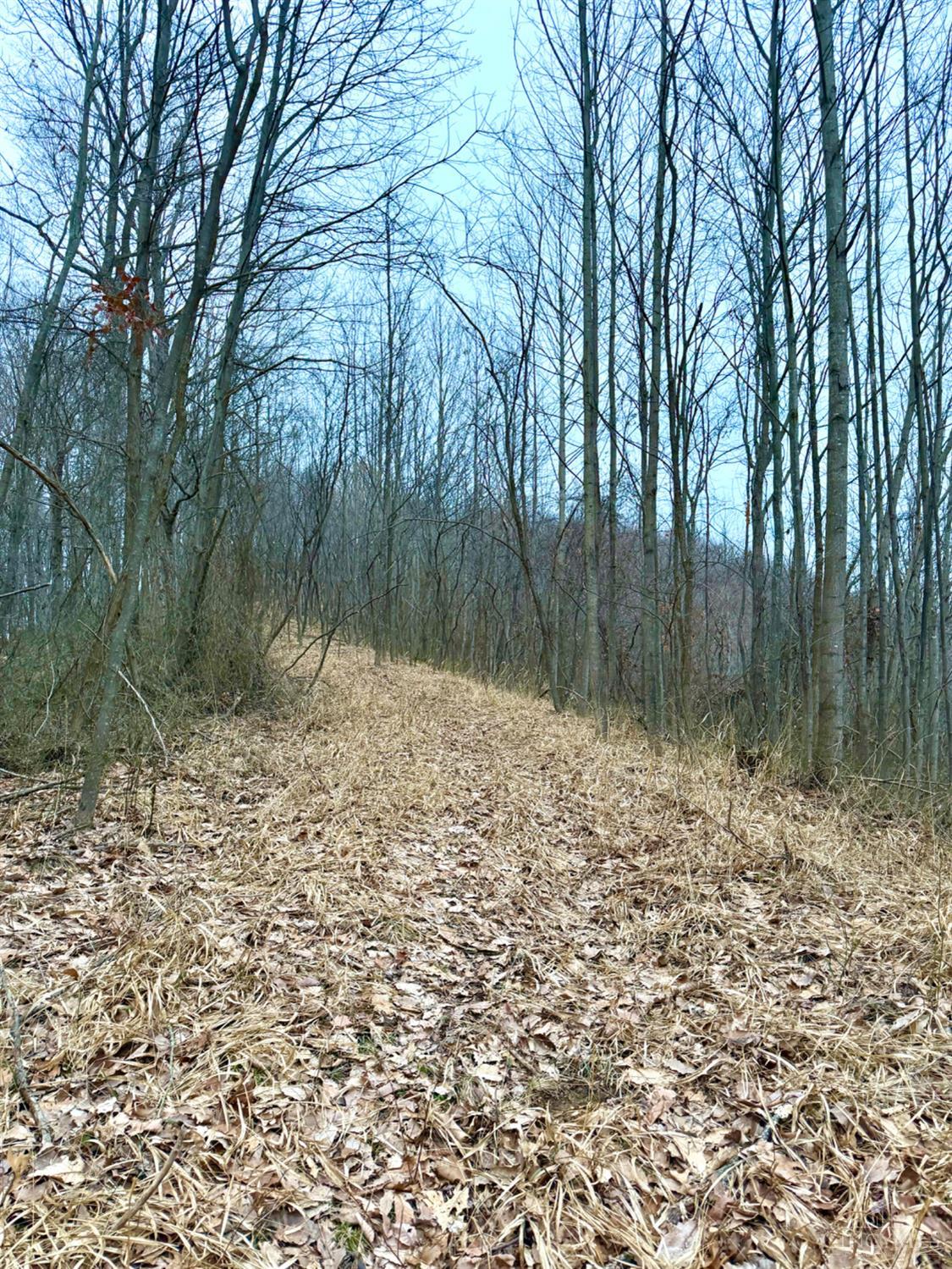 Straight Creek Road, Jackson Twp, OH, 45613 — photo 43