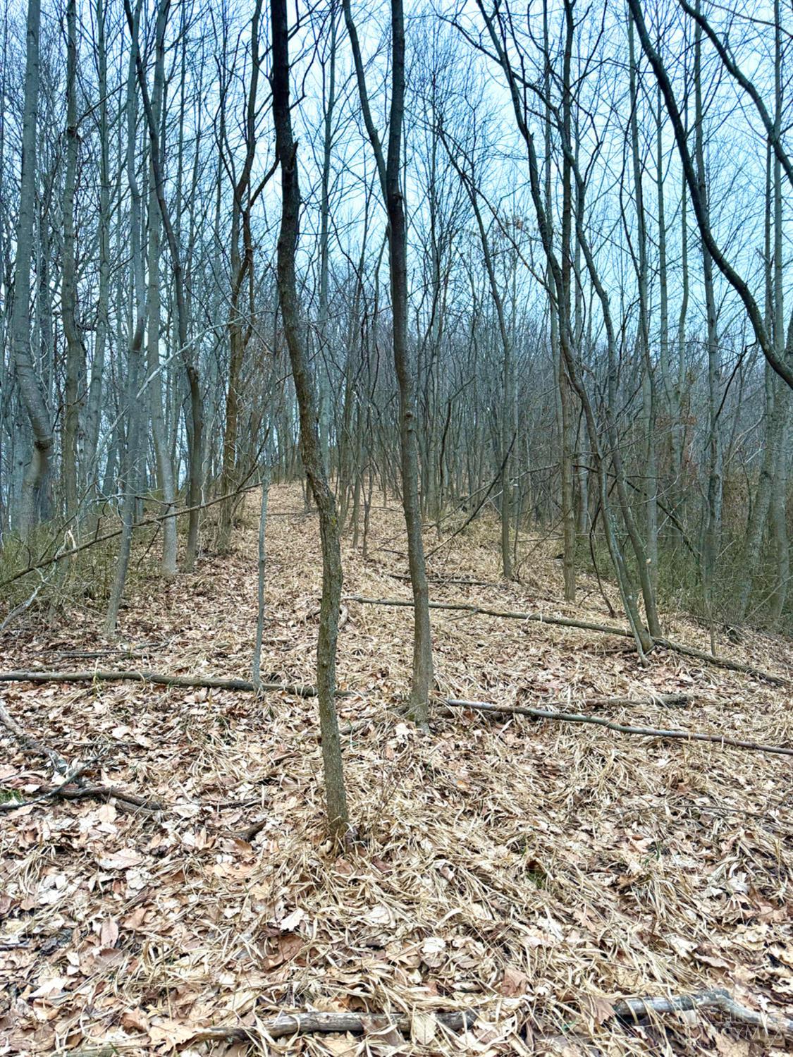 Straight Creek Road, Jackson Twp, OH, 45613 — photo 11
