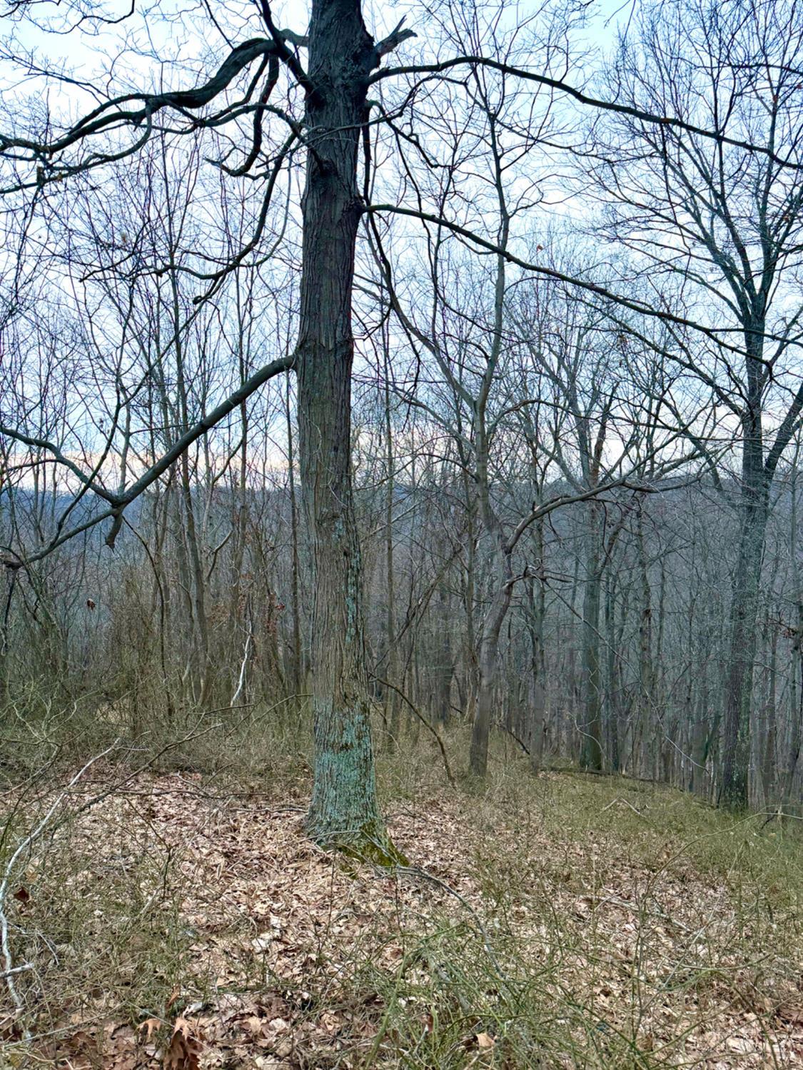 Straight Creek Road, Jackson Twp, OH, 45613 — photo 16