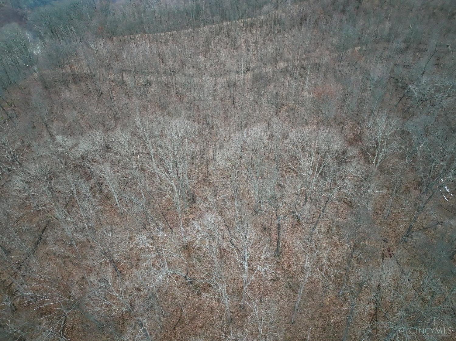 Straight Creek Road, Jackson Twp, OH, 45613 — photo 20