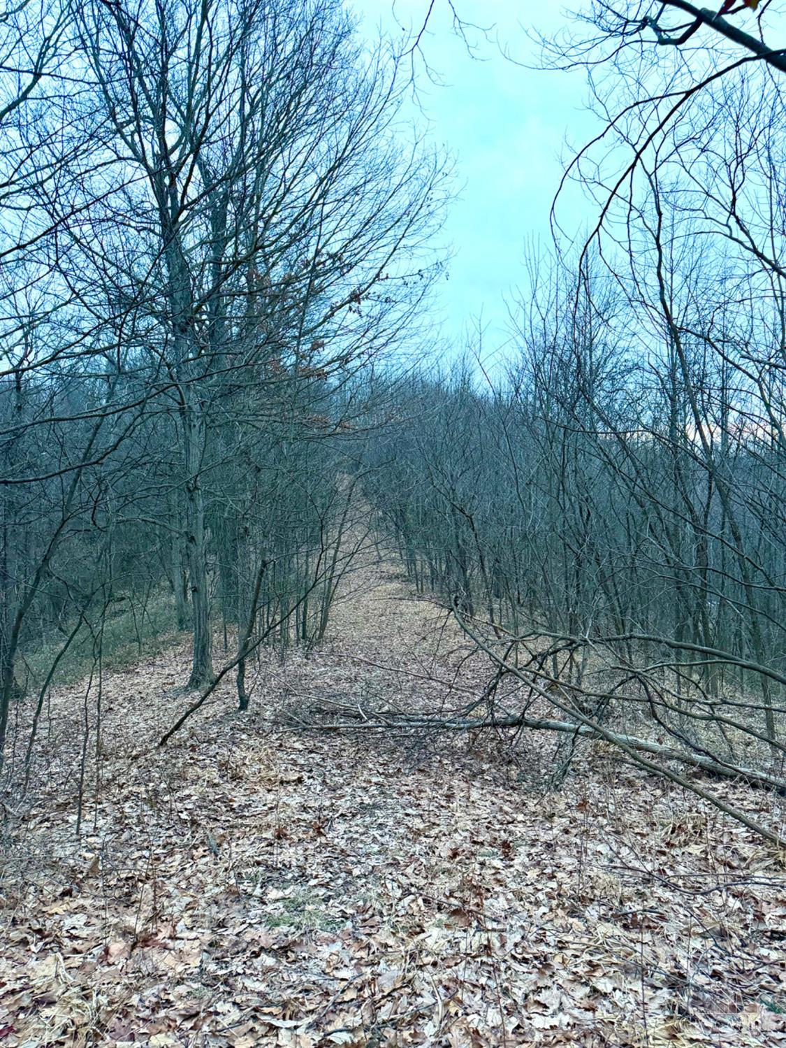 Straight Creek Road, Jackson Twp, OH, 45613 — photo 54