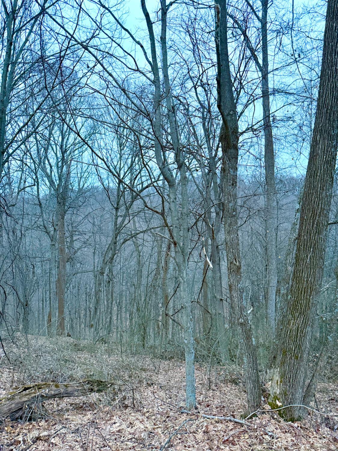 Straight Creek Road, Jackson Twp, OH, 45613 — photo 50