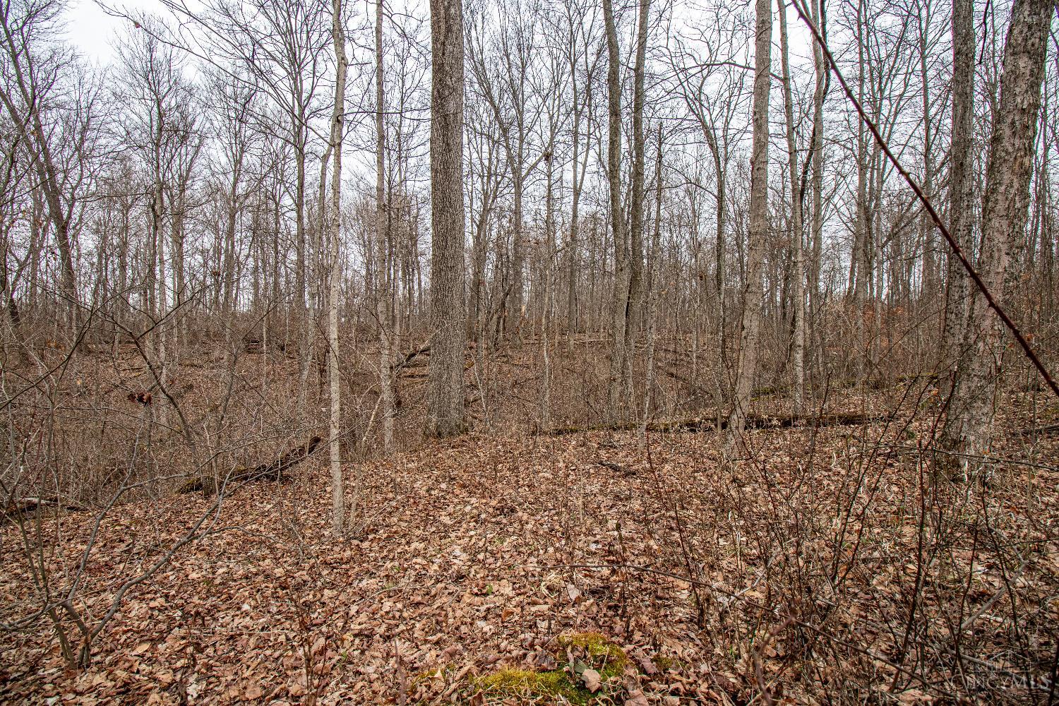 47ac Dry Run Road, Miami Twp, OH, 45150 — photo 20