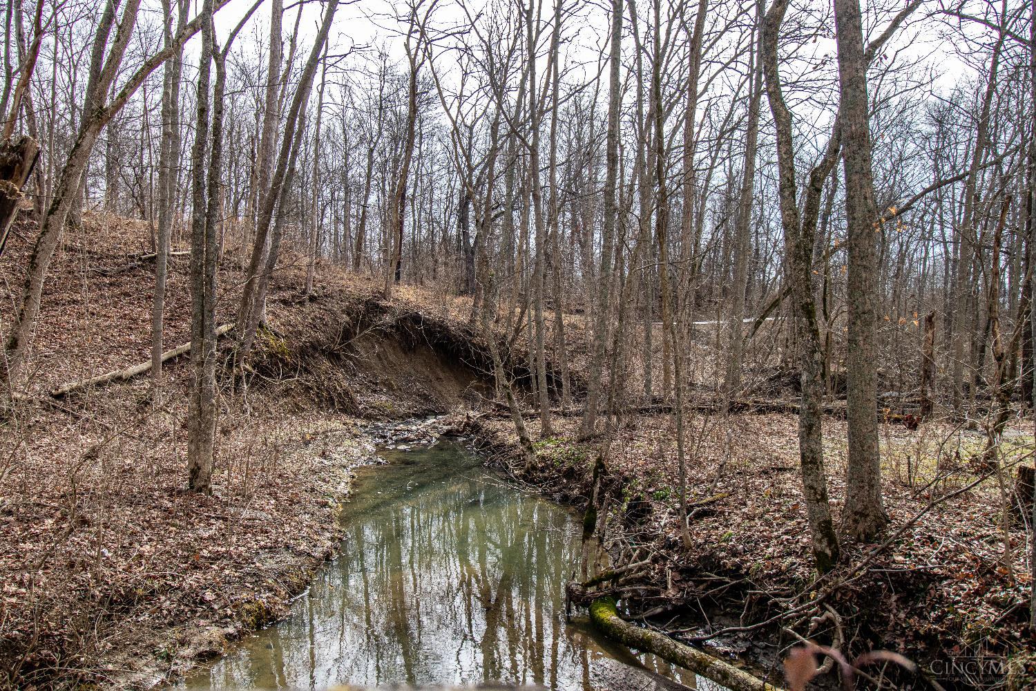 47ac Dry Run Road, Miami Twp, OH, 45150 — photo 23
